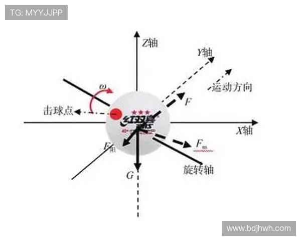 从零起步掌握乒乓球战术技巧全解析助你成为乒乓高手