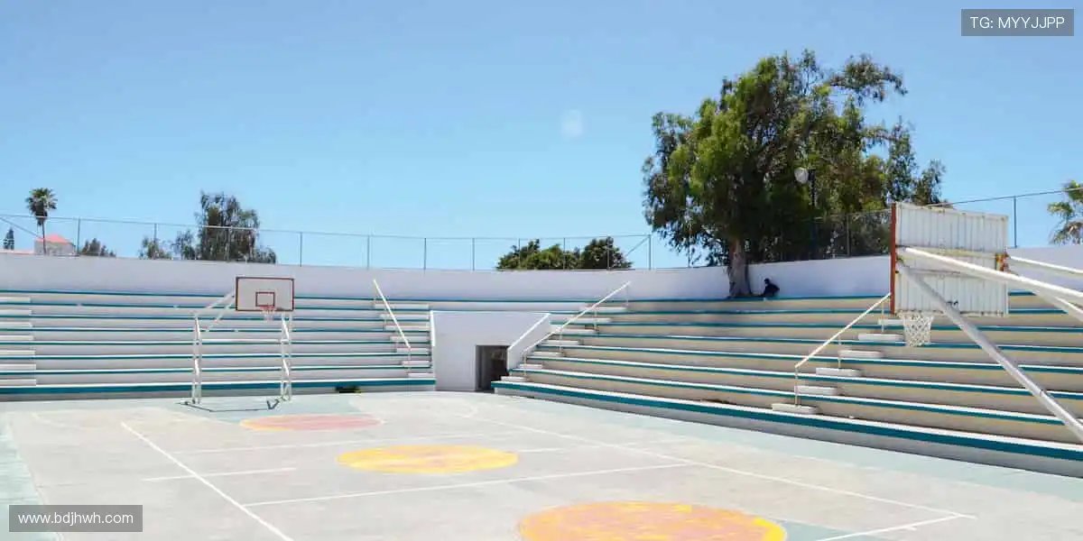 🏆 点燃你的热血时刻！顶级赛事，激情永不落幕！